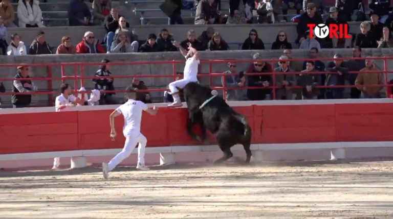 BEAUCAIRE 26 Mars 2023