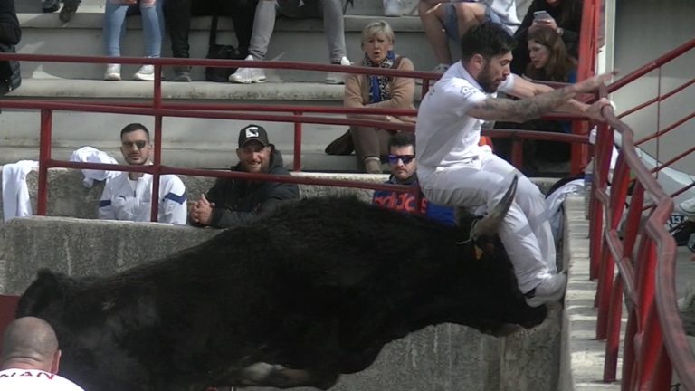 Course Camarguaise Pelissanne Niveau Avenir