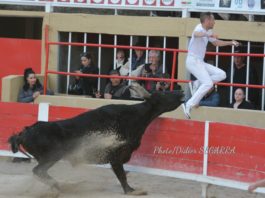 Course Camarguaise St Gilles Niveau As