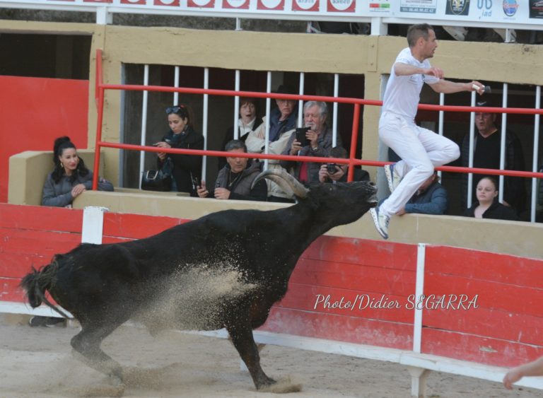 Course Camarguaise St Gilles Niveau As