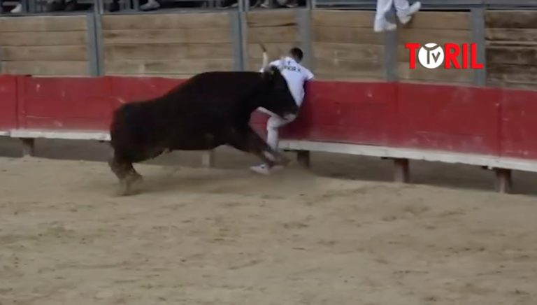 Course Camarguaise Vendargues Niveau Avenir