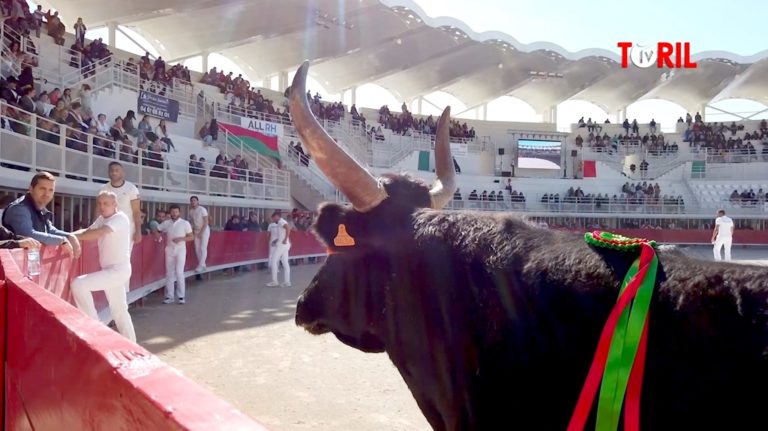 Une Royale de Nicollin historique dans les Arènes de Lunel