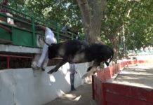 aramon