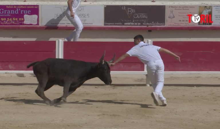 FONTVIEILLE (27/05/2023) – Le résumé de la course