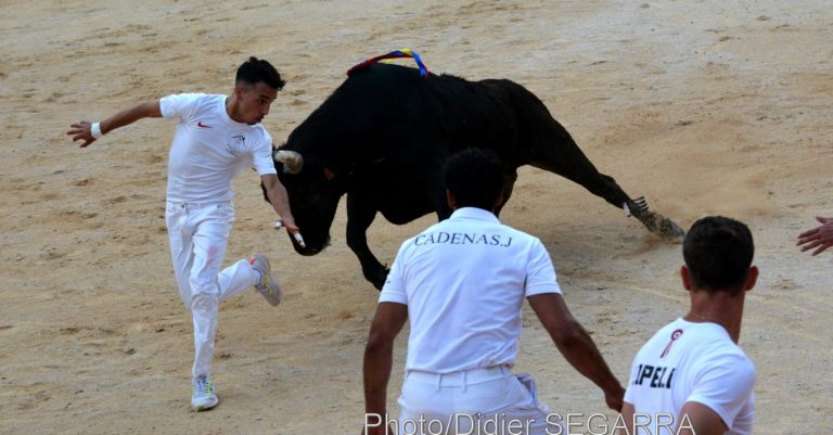 nimes