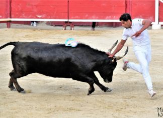palavas 7 mai