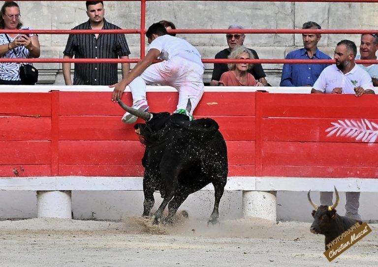 BEAUCAIRE (27/07/2023) – Le résumé de la course