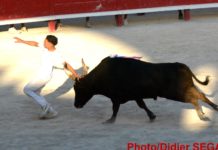 lunel