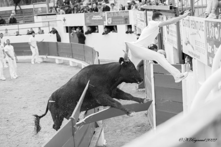 Châteaurenard – La 4ème journée du Trophée des Maraîchers ce dimanche