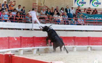 lansargues