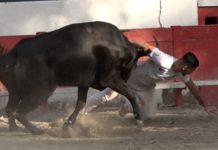 aramon