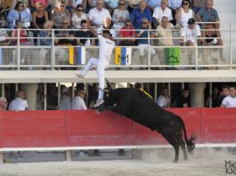 lunel
