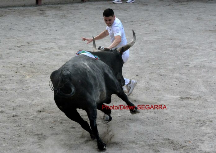 AIGUES VIVES (30/06/2024) - Le résume de la course