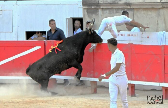 NIMES (22/08/2024) - Le résumé de la course